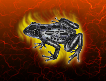 blackfrog